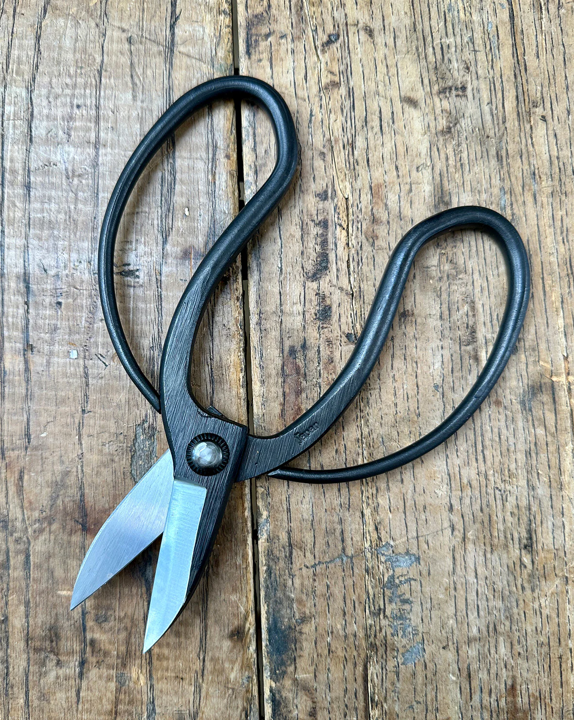 Sentei Japanese Garden Scissors — Uekibasami (2" KA-70 Carbon Steel Blades) - Image 4